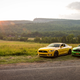 Illustration for article titled I Can’t Decide Between A New Ford Mustang GT Or An Old Boss 302